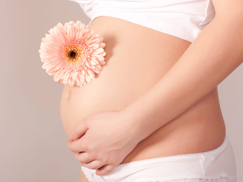 a pregnant woman's stomach with a peach colored flower resting on it