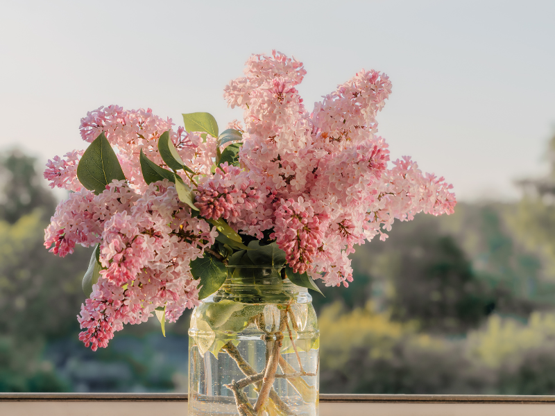 jar of pink lilacs